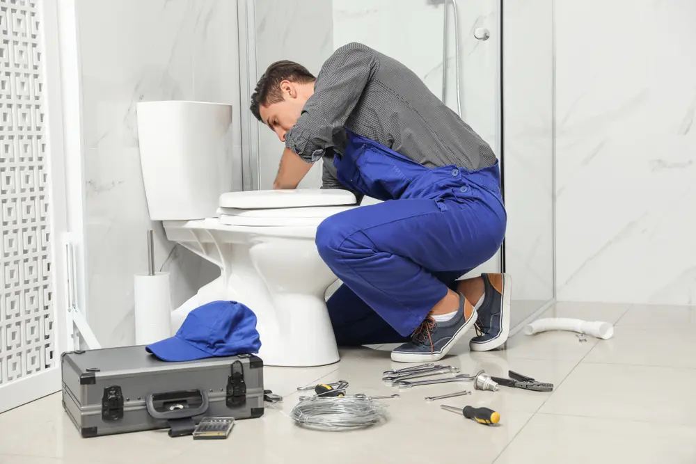 Toilet Installation in Long Neck